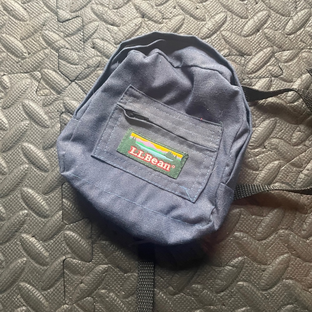 L.L. Bean Blue Mini Bag